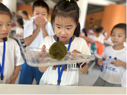 e6cd8b419b223562251a972c9305a5b5 中国·拉斯维加斯5001(股份有限公司)-Official website